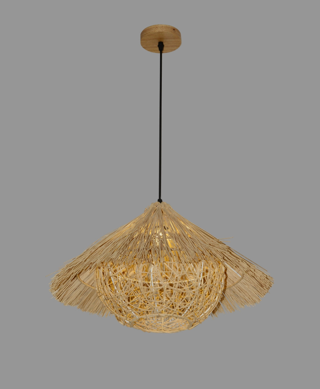 Pendant Light (1038/1)
