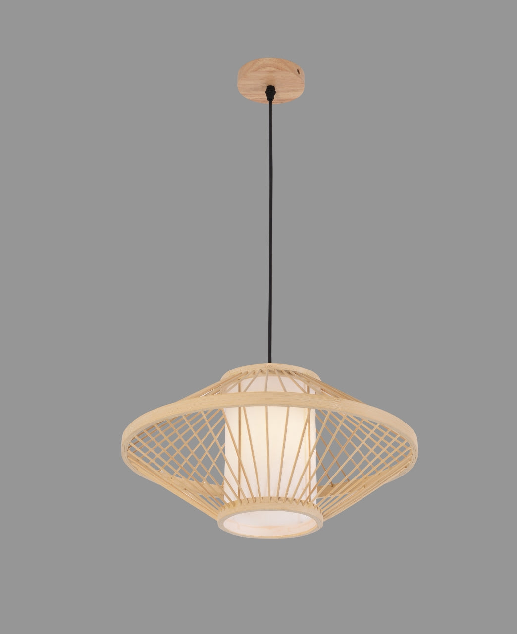Pendant Light (1042/1)