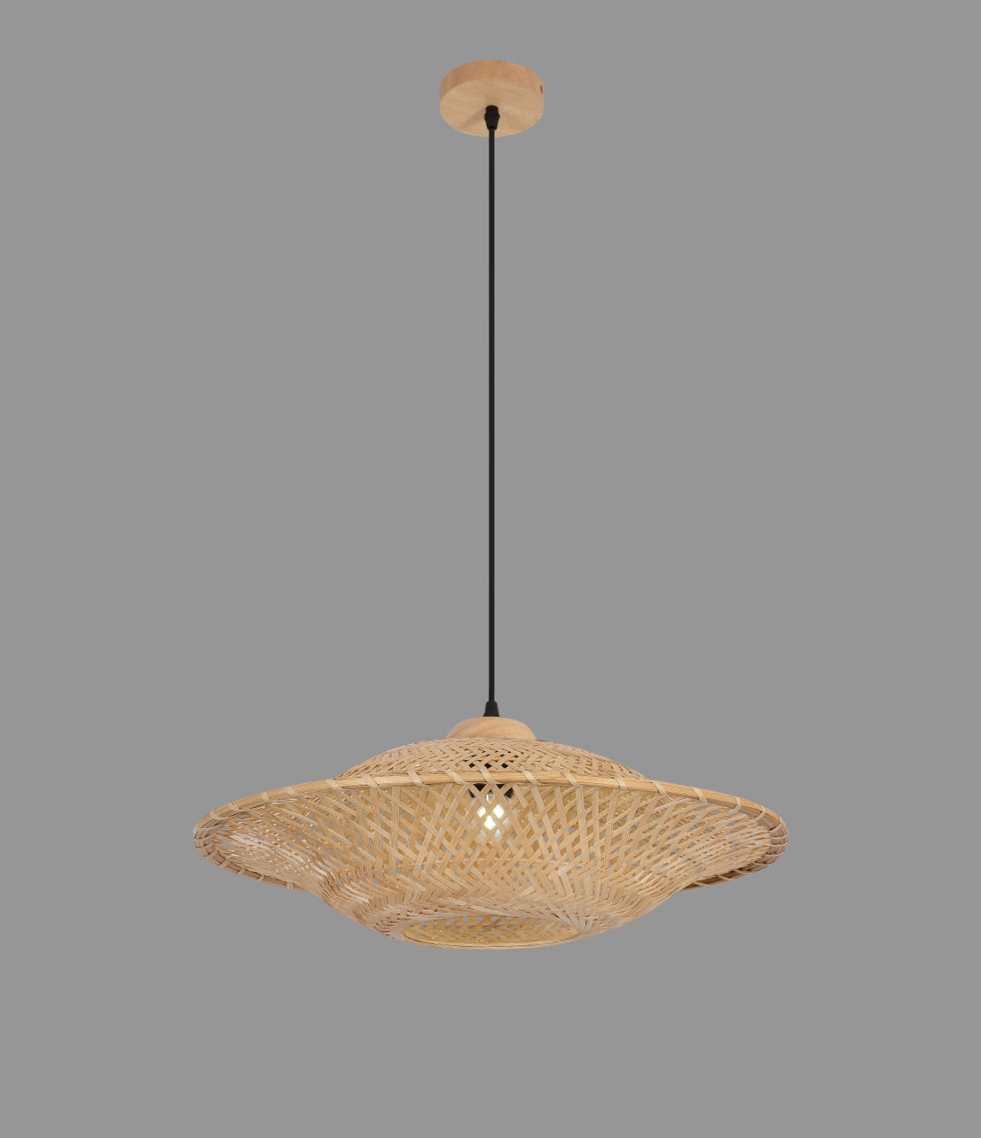 Pendant Light (2039/1)