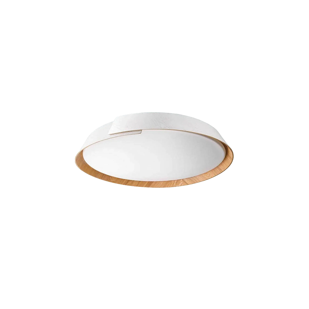 Embrace Ceiling Light by Philips (49020)