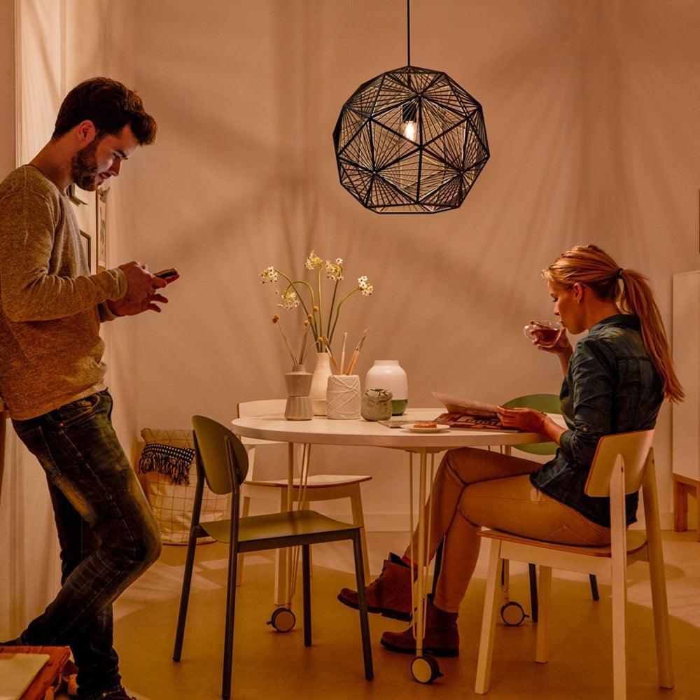 Philips 40887 Mohair Pendant