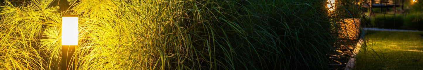 Outdoor Luxe Lights - Ashoka Lites