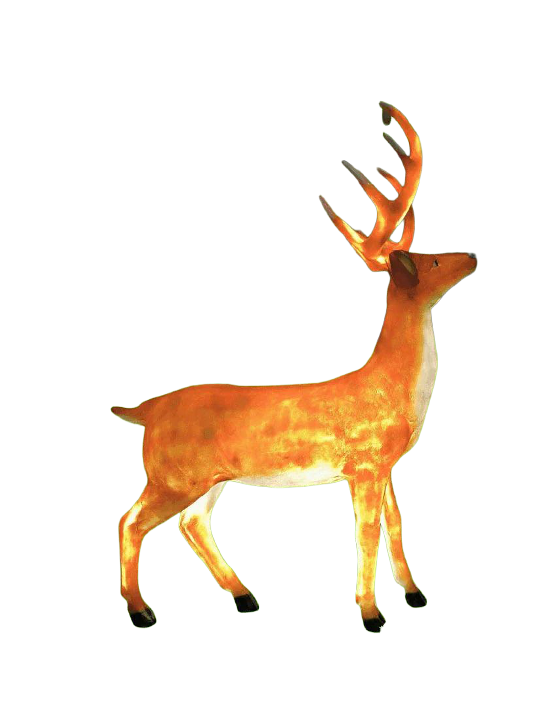 The Antlered Sentinel (9263)