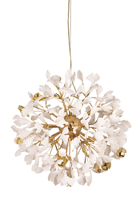 Hydrangea